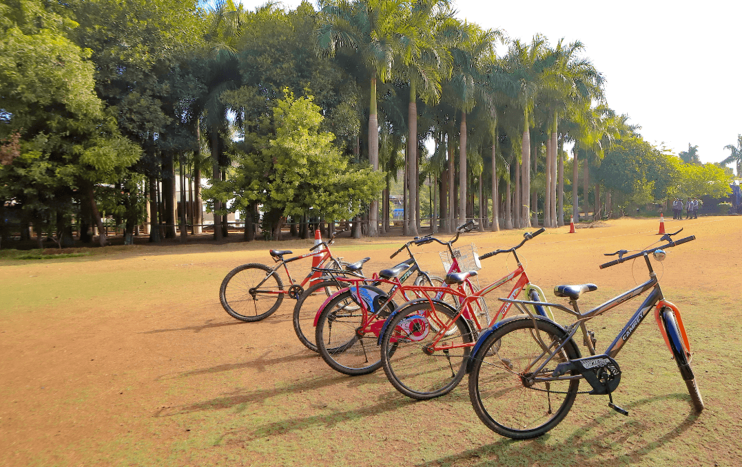 Picnic Location - Image 13