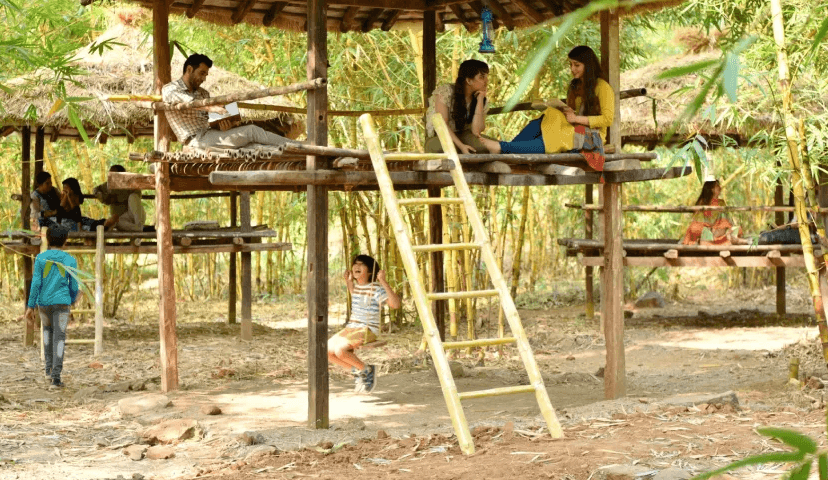 Picnic Location - Image 5